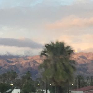 Meet your Posher, Tatum